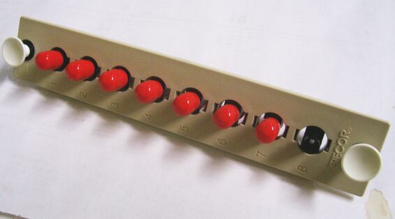 Seicor Eight Port Plate on a White Background